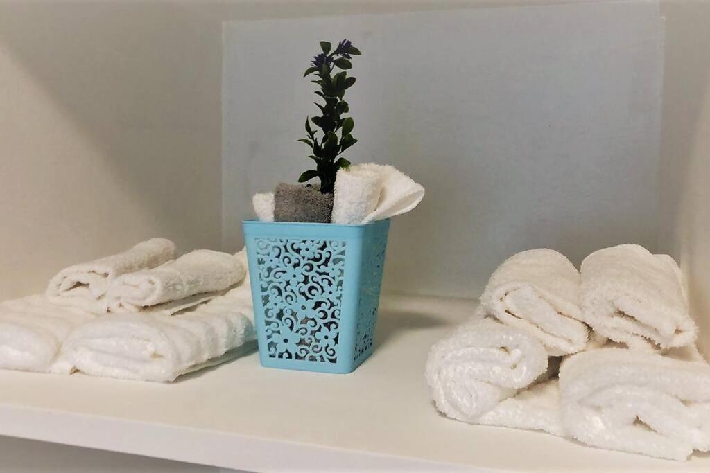 Lovely 1 Bedroom Apartment W/Private Parking Ensenada Esterno foto
